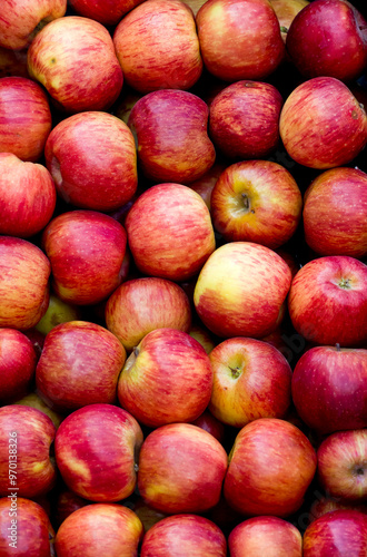Delicious fruits and vegetables for a healthy diet. Oranges, Tangerines, Pears, Peppers, Red Apples, Green Apples, Cherry Tomatoes, Squashes.
