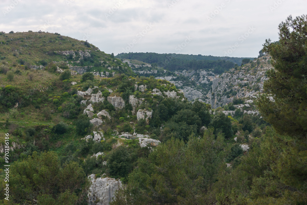Fototapeta premium View at the rocky canyon of the Anapo valley at the nature reserve Pantalica, Siracusa, Sicily, Italy