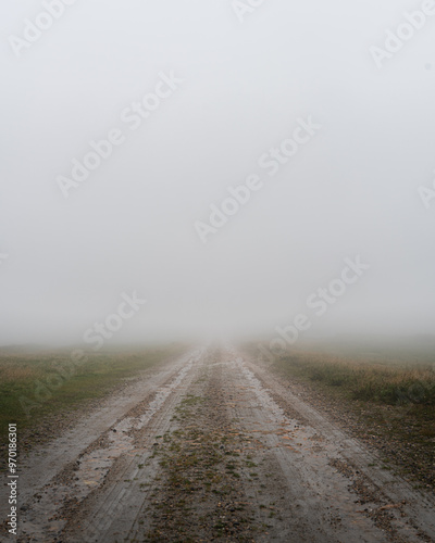 Foggy Road in a Misty Landscape