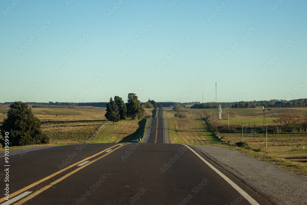Fototapeta premium Ruta campestre