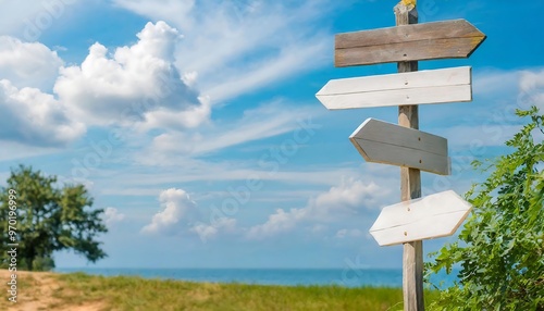 Blank Direction Signs. Blank Directional Signs Against a Blue Sky – Multiple empty signs pointing in various directions, ideal for guidance or choice concepts.