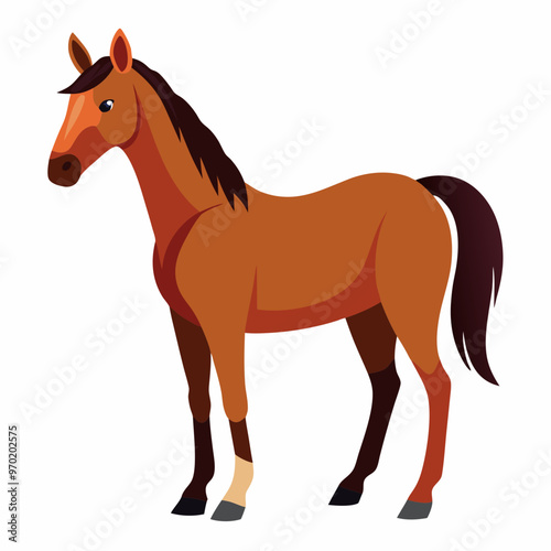 horse illustration