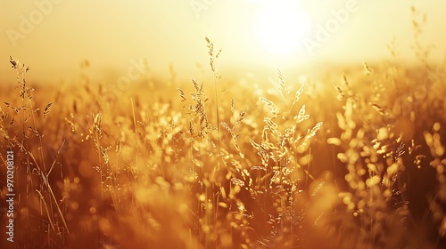 golden sunset light over field : Generative AI photo