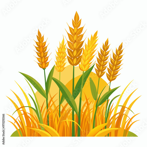 wheat ears isolated on white