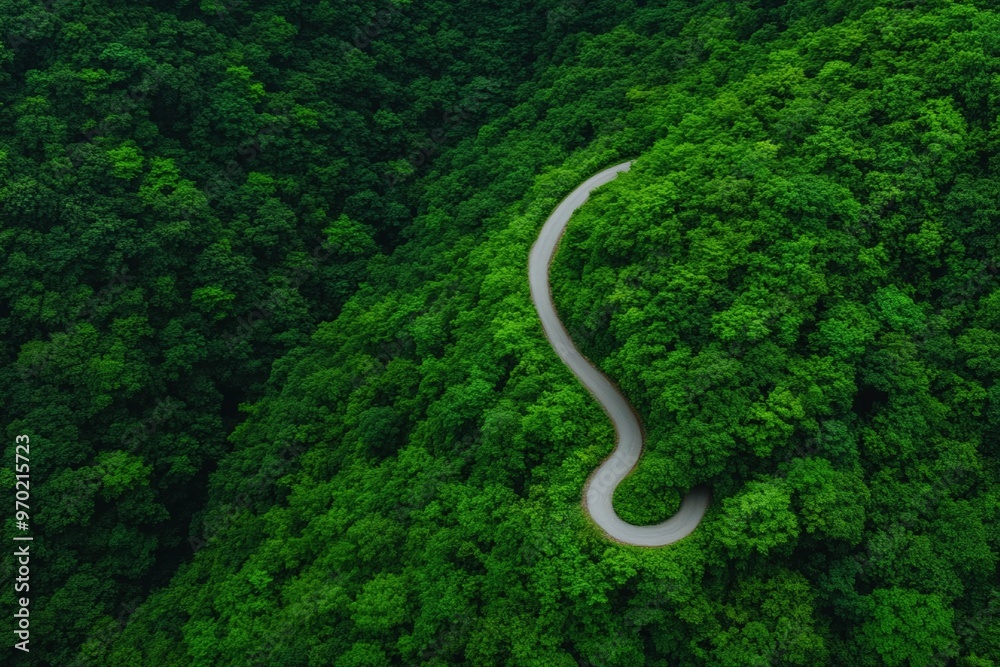 Aerial view of a winding road cutting through a dense, vibrant green forest, creating a peaceful and serene landscape. Ideal for nature tourism, eco-friendly designs, or adventure travel banners with 