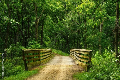 Summer landscape of a small wooden bridge in a lush green forest along the Military Ridge State Trail, near Mount Horeb, Wisconsin. photo