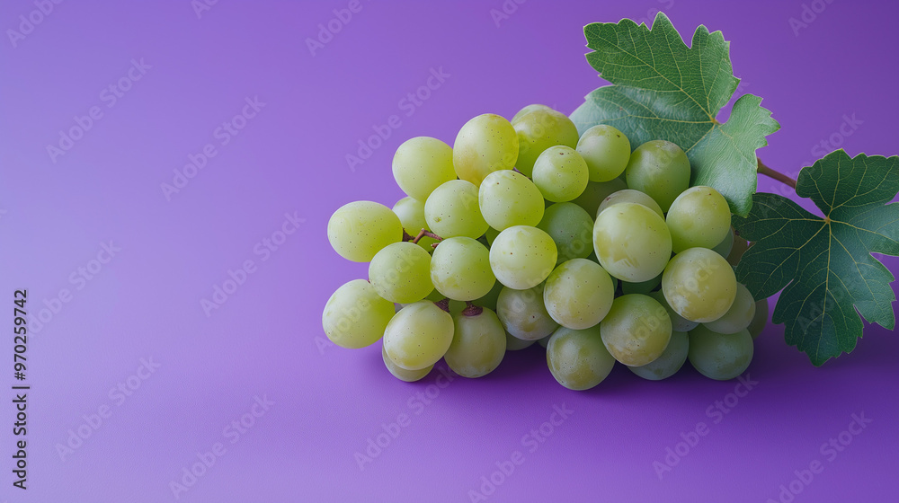 Obraz premium bunch of grapes on a purple background