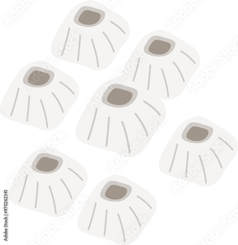 Illustration of Barnacles