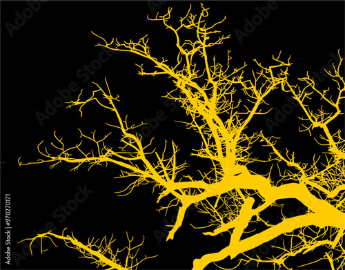 silueta arbol, arbusto, hojas, ramas, otoño, ilustracion, bosques, naturaleza, sequia, atmosfera