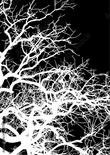 silueta arbol, arbusto, hojas, ramas, otoño, ilustracion, bosques, naturaleza, sequia, atmosfera