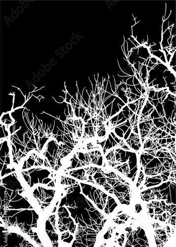 silueta arbol, arbusto, hojas, ramas, otoño, ilustracion, bosques, naturaleza, sequia, atmosfera