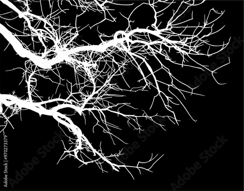 silueta arbol, arbusto, hojas, ramas, otoño, ilustracion, bosques, naturaleza, sequia, atmosfera