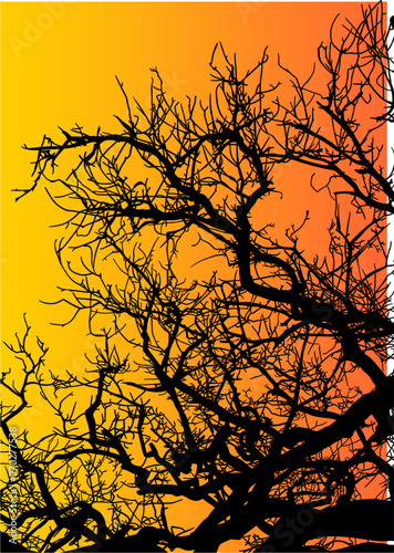 silueta arbol, arbusto, hojas, ramas, otoño, ilustracion, bosques, naturaleza, sequia, atmosfera