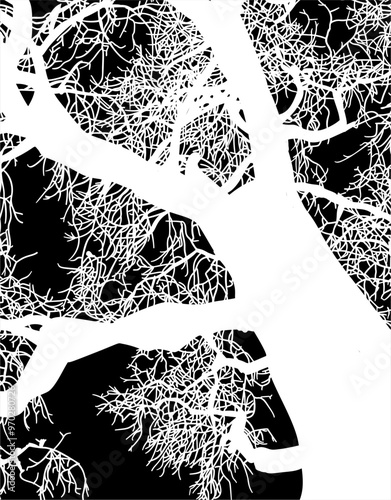 silueta arbol, arbusto, hojas, ramas, otoño, ilustracion, bosques, naturaleza, sequia, atmosfera