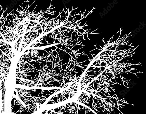 silueta arbol, arbusto, hojas, ramas, otoño, ilustracion, bosques, naturaleza, sequia, atmosfera