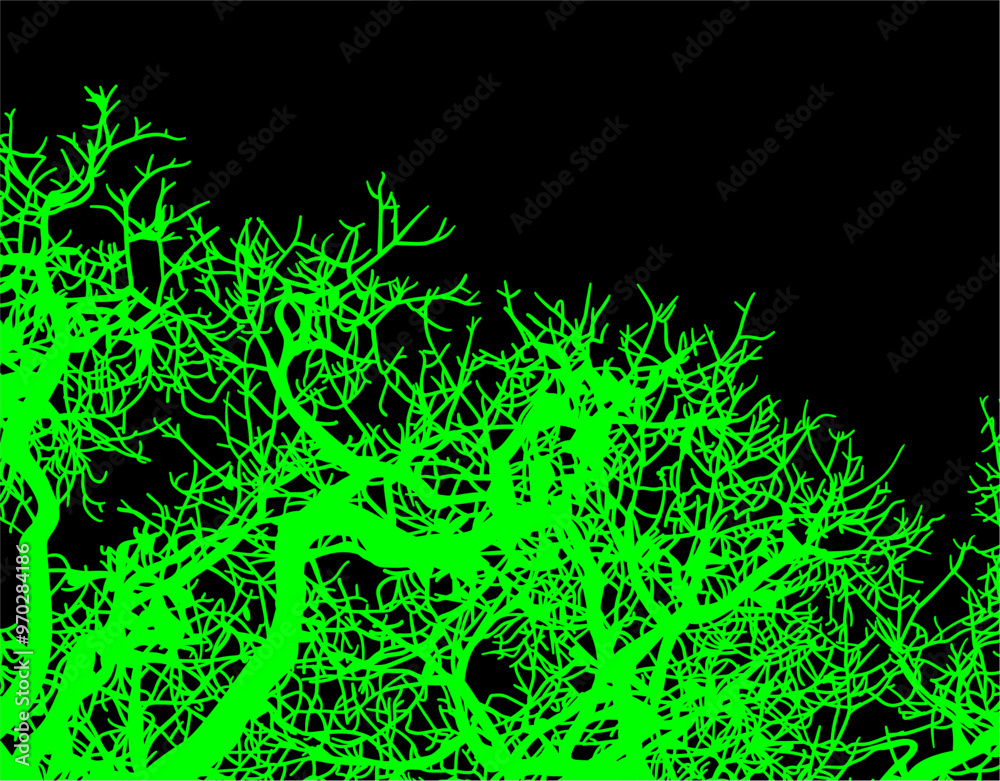 silueta arbol, arbusto, hojas, ramas, otoño, ilustracion, bosques, naturaleza, sequia, atmosfera silueta arbol, arbusto, hojas, ramas, otoño, ilustracion, bosques, naturaleza, sequia, atmosfera
