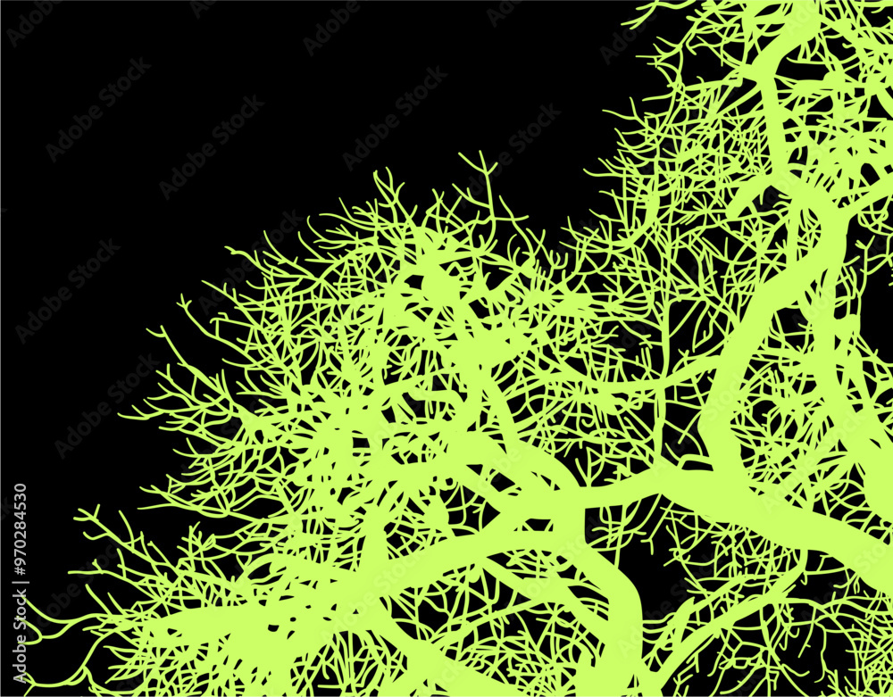 silueta arbol, arbusto, hojas, ramas, otoño, ilustracion, bosques, naturaleza, sequia, atmosfera