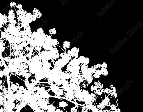 silueta arbol, arbusto, hojas, ramas, otoño, ilustracion, bosques, naturaleza, sequia, atmosfera
