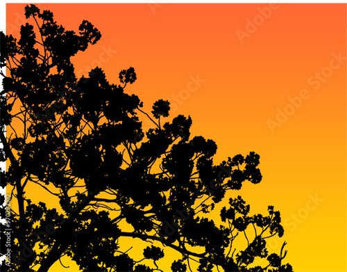 silueta arbol, arbusto, hojas, ramas, otoño, ilustracion, bosques, naturaleza, sequia, atmosfera