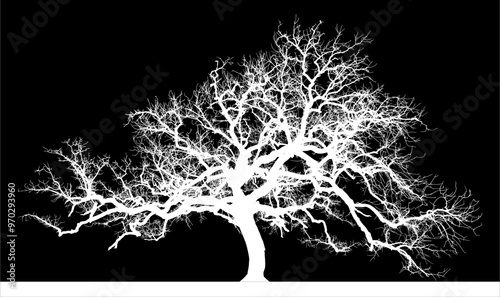 silueta arbol, arbusto, hojas, ramas, otoño, ilustracion, bosques, naturaleza, sequia, atmosfera