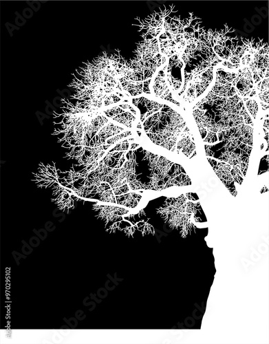 silueta arbol, arbusto, hojas, ramas, otoño, ilustracion, bosques, naturaleza, sequia, atmosfera