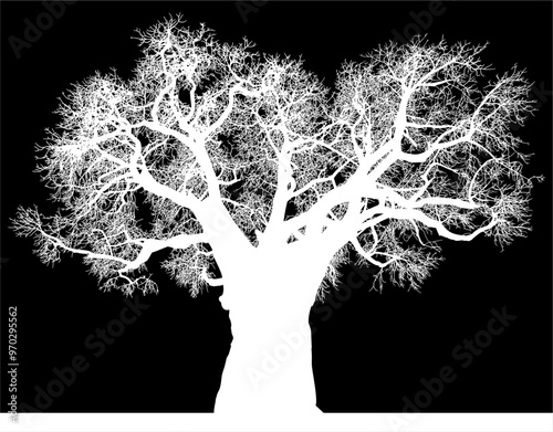silueta arbol, arbusto, hojas, ramas, otoño, ilustracion, bosques, naturaleza, sequia, atmosfera