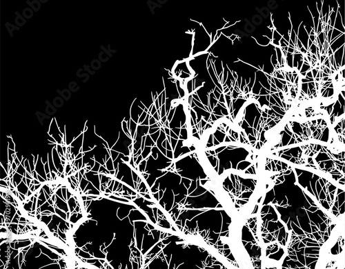 silueta arbol, arbusto, hojas, ramas, otoño, ilustracion, bosques, naturaleza, sequia, atmosfera
