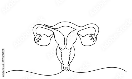 Continuous line drawing of women's Uterus and Ovary. One line Female reproductive system uterus vector illustration isolated on white background.