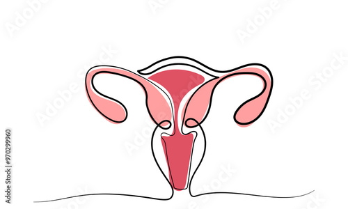 Uterus Female reproductive system, cycle.women's genital organ, Internal organs concept.line art illustration isolated on a white background.
