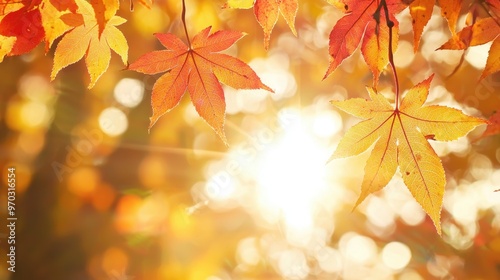 Golden Autumn Leaves With Sun Flare and Bokeh