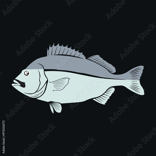 vector illustration of cod fish