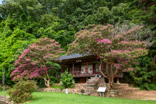 Andong-si, Gyeongsangbuk-do, South Korea - August 11, 2019: Chehwajeong Pavilion surrounded by pink lagerstroemia flowers