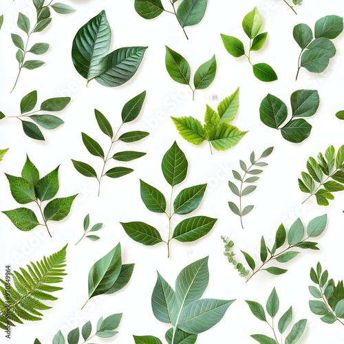 Seamless natural leaf pattern on clean white background long title Seamless pattern with a variety of lush fresh green leaves arranged in a