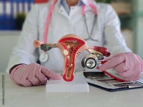 Doctor puts stethoscope to artificial model of womb with fetus on table in clinic photo