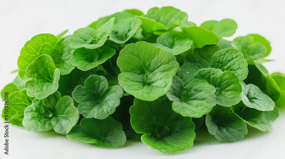 A bunch of green leaves are piled on top of each other. The leaves are fresh and vibrant, giving off a sense of life and vitality. The image conveys a feeling of abundance and growth