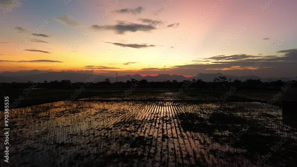 Silhouetted Sunset Over Rural Landscape, camera moves forward Silhouetted Sunset Over Rural Landscape, camera moves forward
