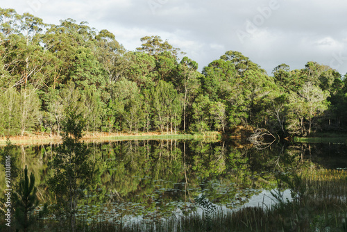 lake in the forest with reflections