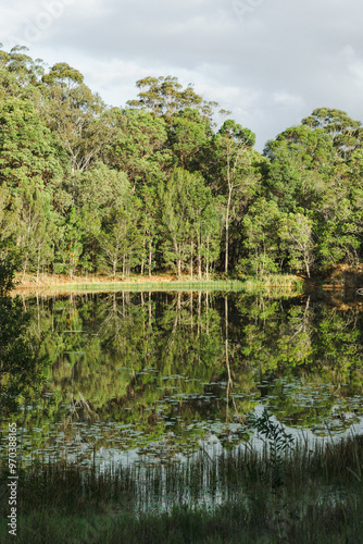 Reflections of a forest over a lake