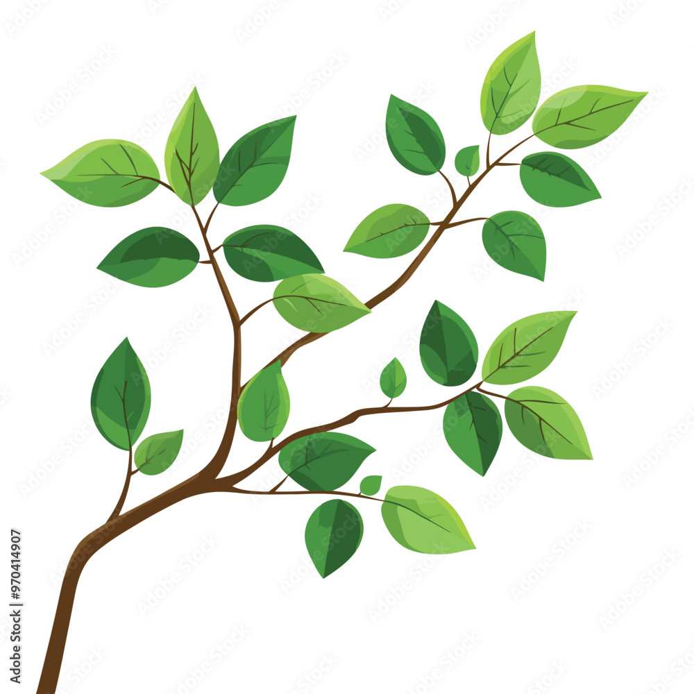Obraz premium Tree branch with green leaves