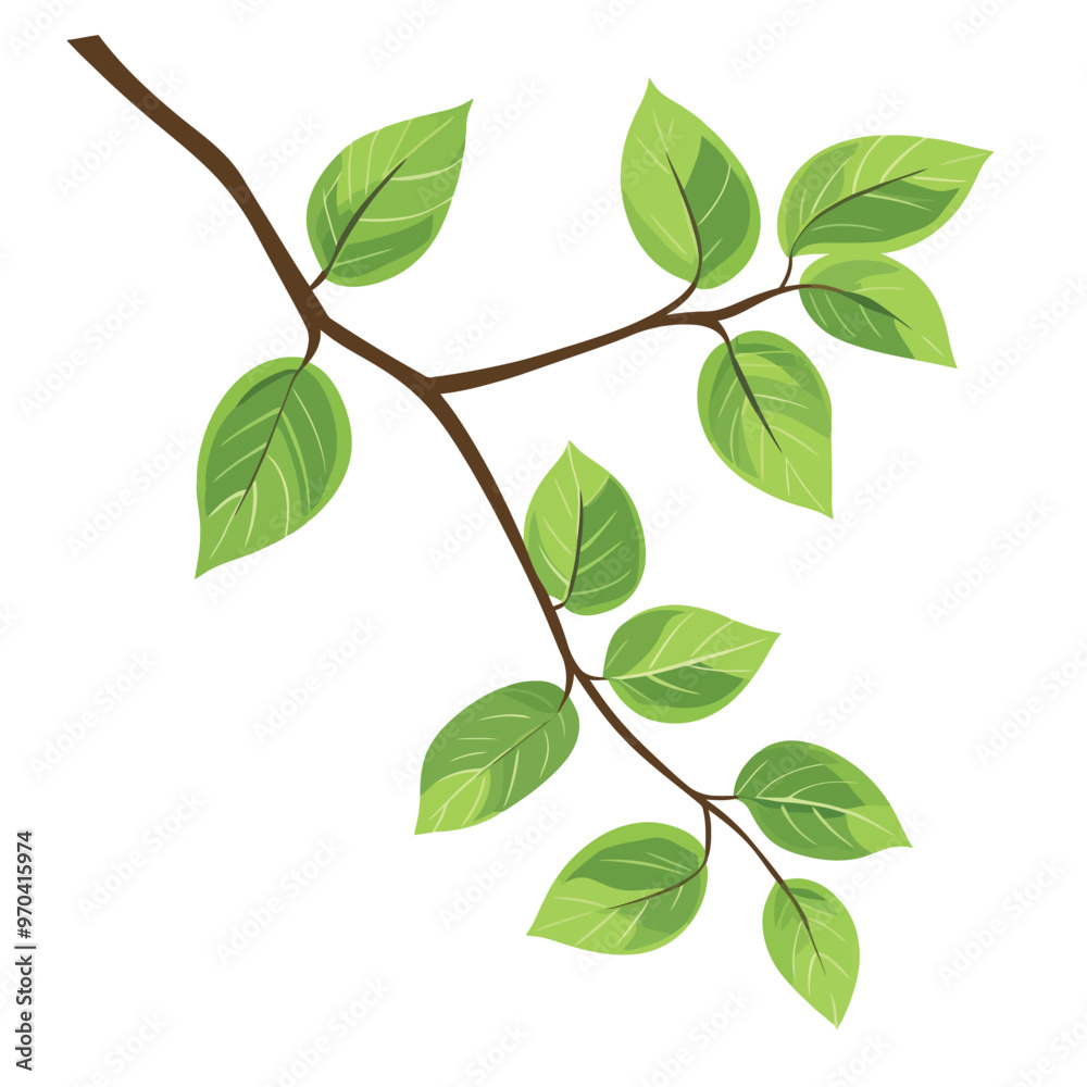 Fototapeta premium Branch with green leaves