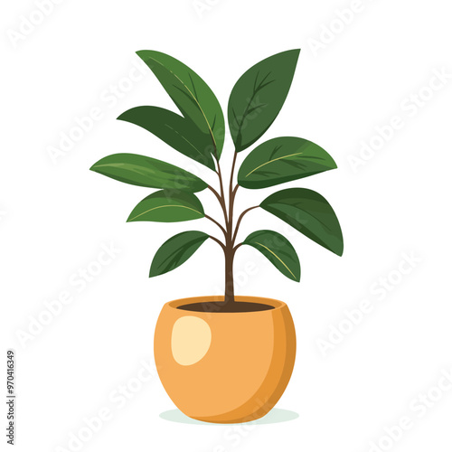 Decorative home plant vector