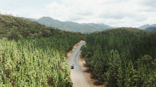 driving a truck through a forest 