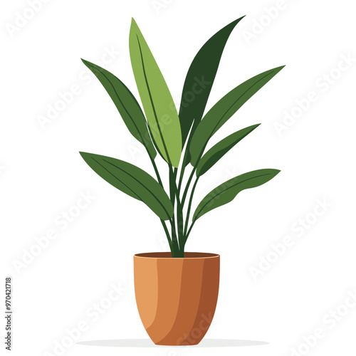 Decorative home plant vector