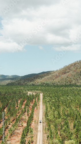 land rover defender driving through a forest