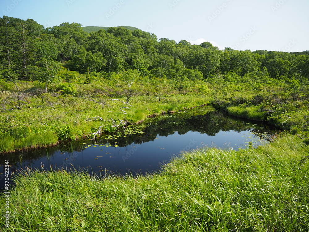 Fototapeta premium 神仙沼の風景