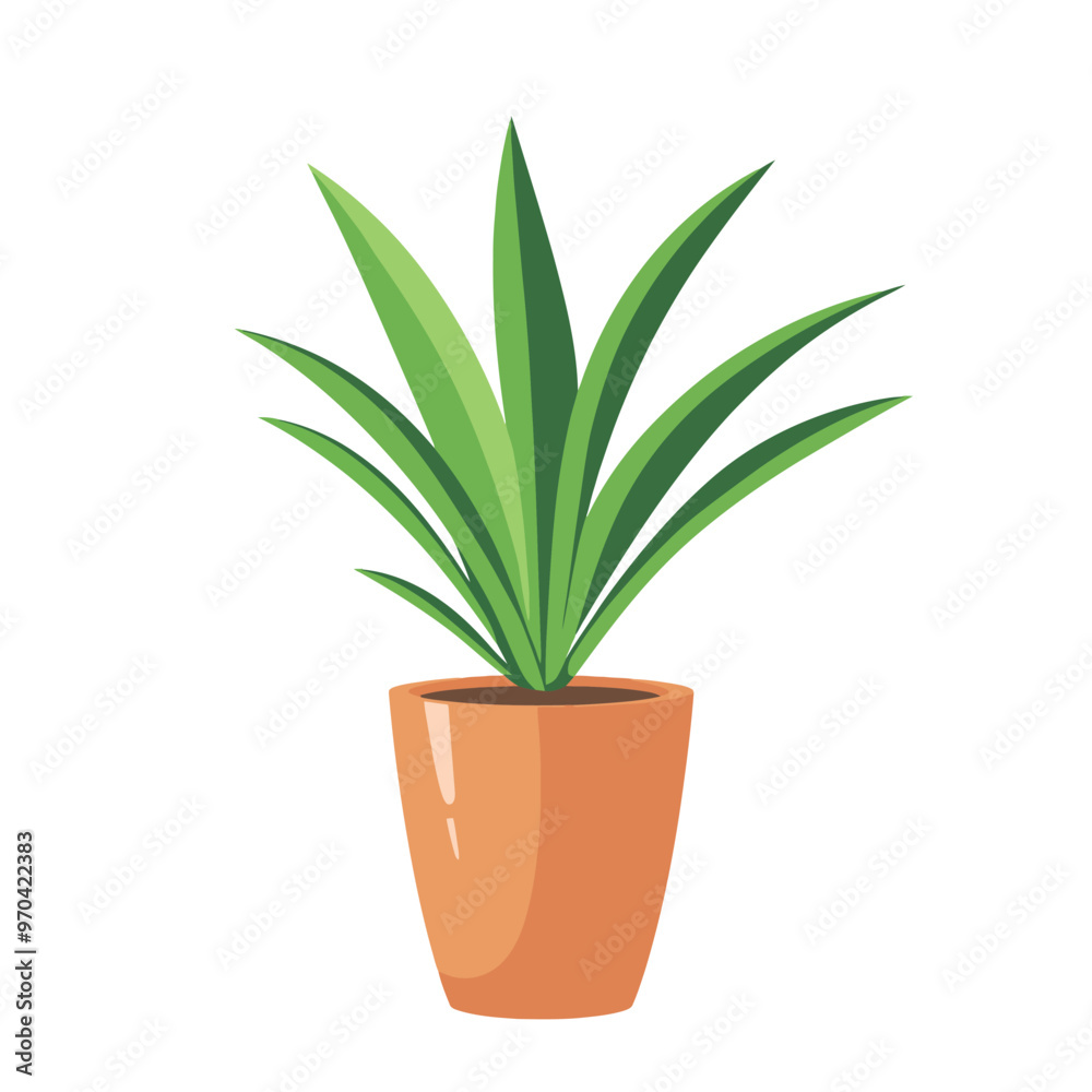 Decorative home plant vector Decorative home plant vector