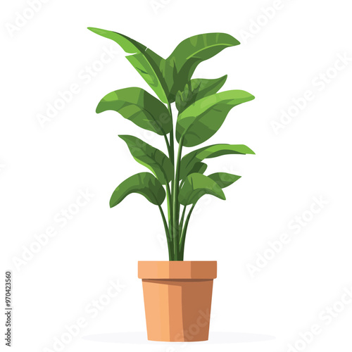 Decorative home plant vector
