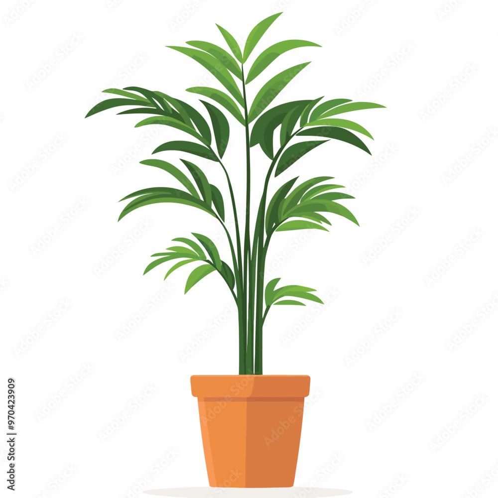 Decorative home plant vector Decorative home plant vector