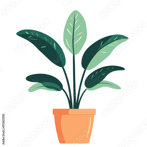 Decorative home plant vector
