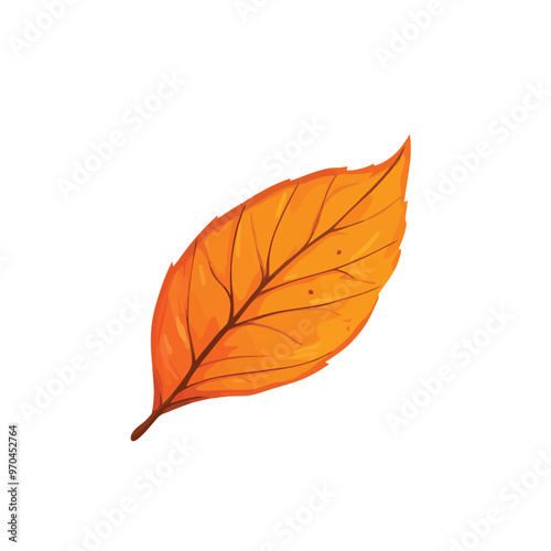 Isolated vector of autumn leaf